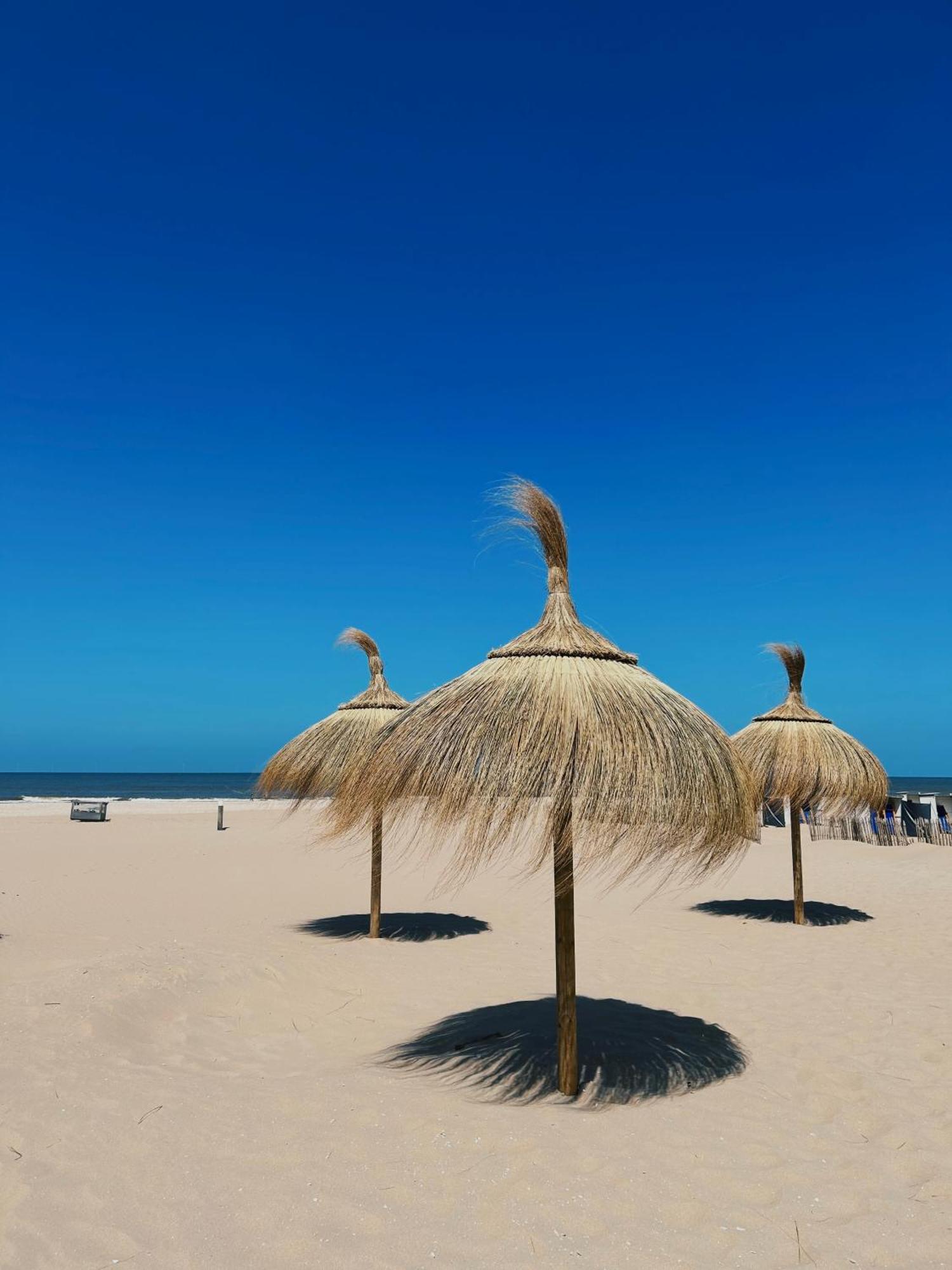 Sisters Beachbungalows Katwijk aan Zee Eksteriør bilde